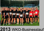 2013 WKO-Businesslauf